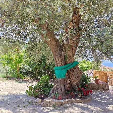 Il Conte Di Marraone Agnone Cilento