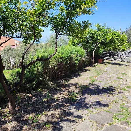 B&B Il Conte Di Marraone *