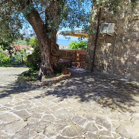 Il Conte Di Marraone Agnone Cilento