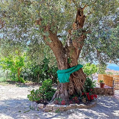 Il Conte Di Marraone B&B 3*