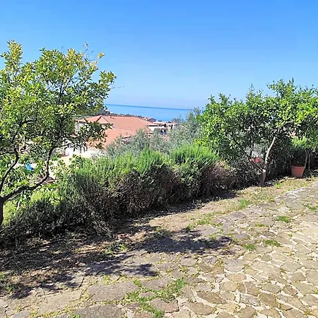 Il Conte Di Marraone Agnone Cilento