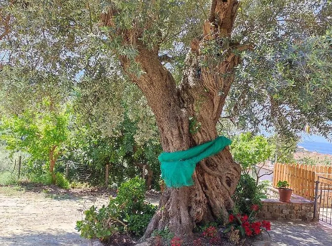 Il Conte Di Marraone Agnone Cilento